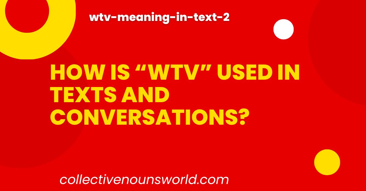 What does WTV stand for?