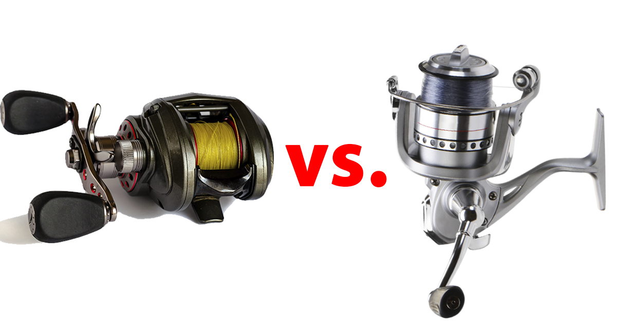 Baitcaster Vs Spinning Reel | Which is Best  