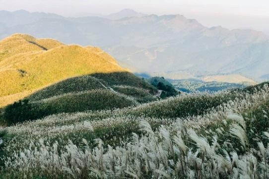 Du lịch Bình Liêu mùa cỏ lau - Vntrip.vn