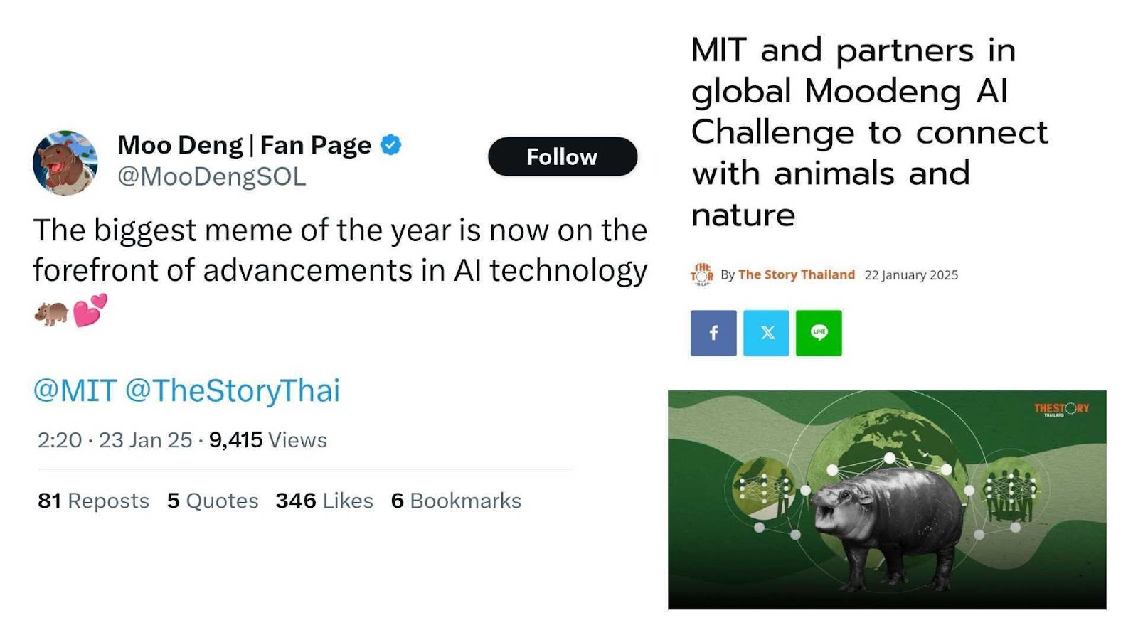 Moo Deng Fan Page announces on X Moo Deng's involvement in AI advancements with MIT