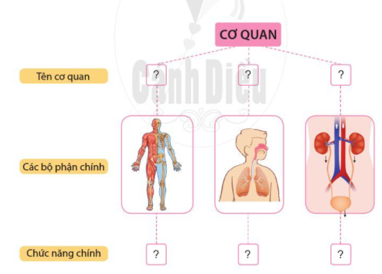 2. Xử lí tình huống