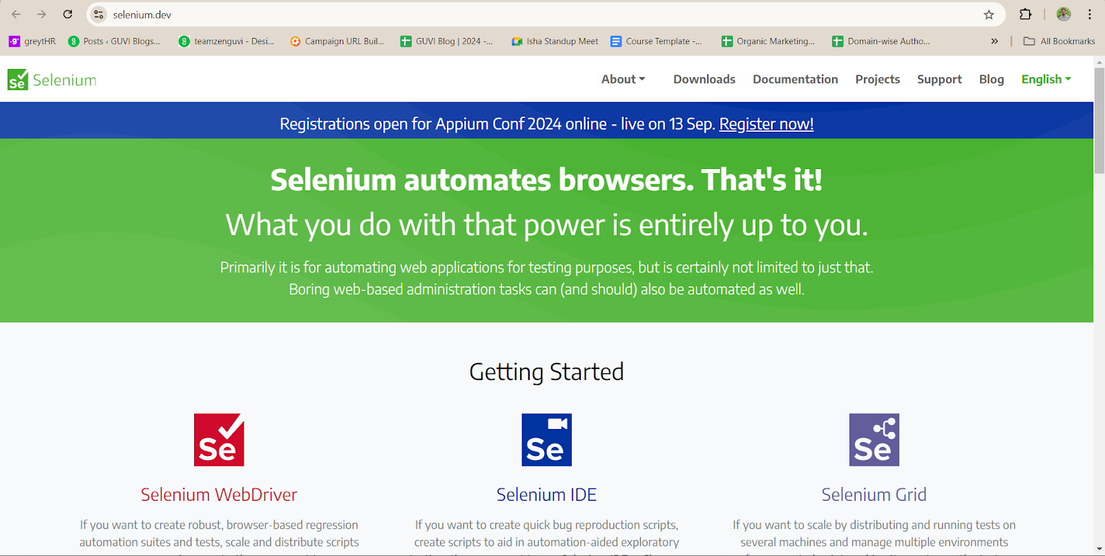 Selenium AI