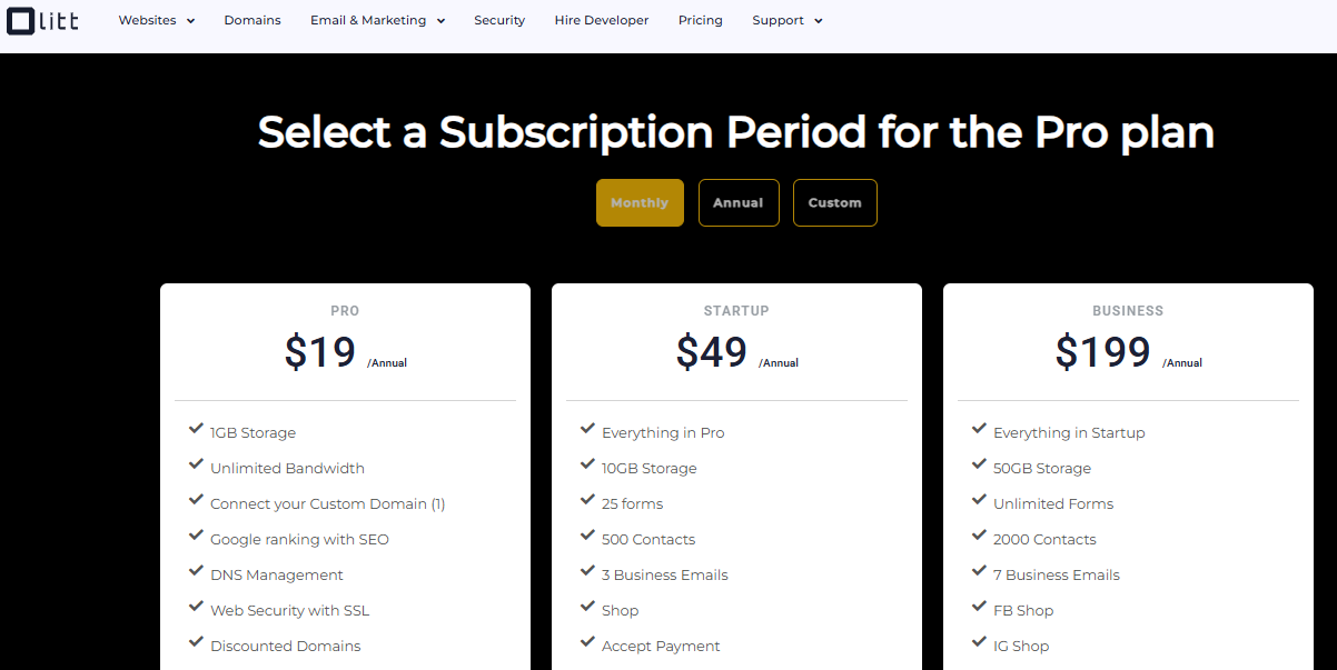 Olitt website pricing