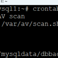 MySQL Database Backup Process