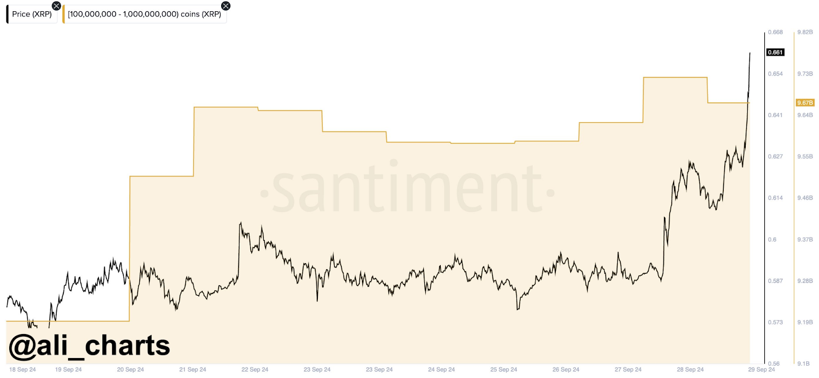 XRP Ripple