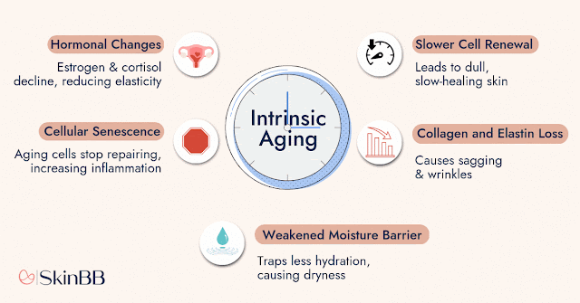 intrinsic-aging-factors