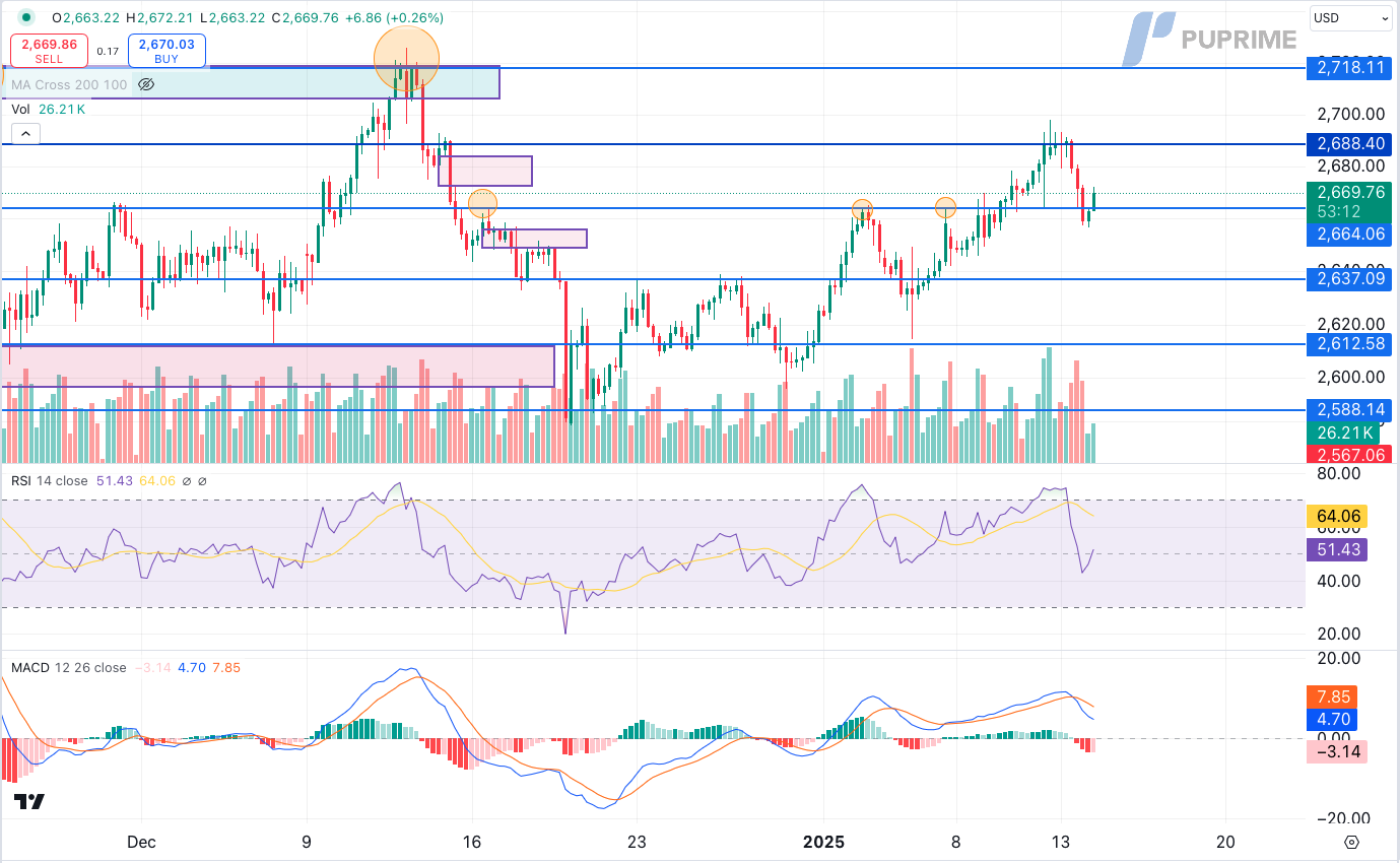 xauusd 14012025