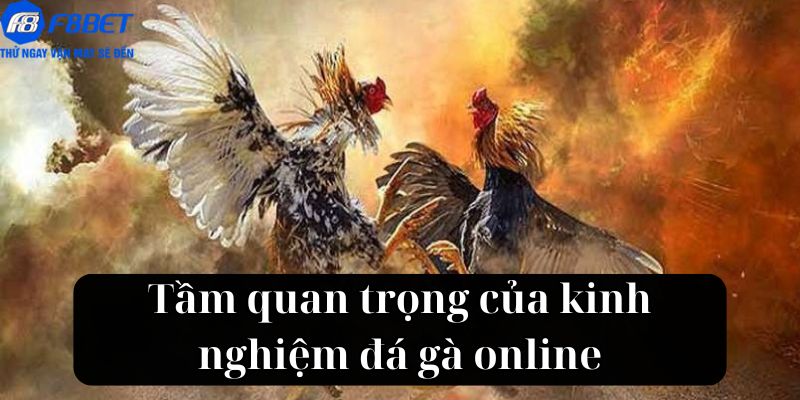 Tầm quan trọng của kinh nghiệm đá gà online