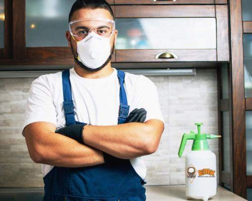 Choosing Termite Treatment Sydney for Lasting Safety