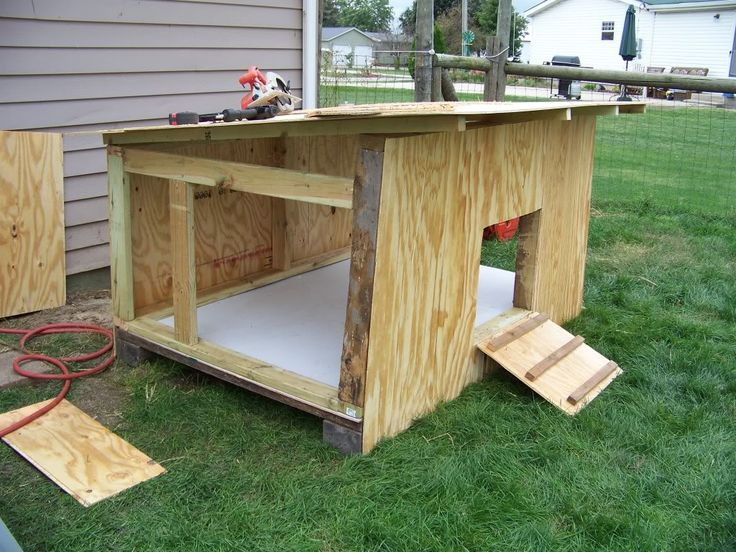 Photo of a duck coop with roof and windows