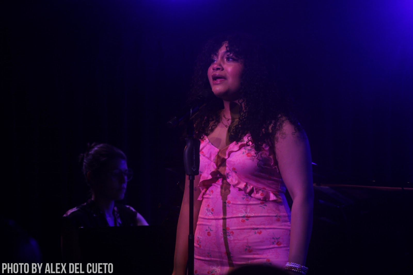 Review: Understudies Shine in AT THIS PERFORMANCE... at The Green Room 42  Image