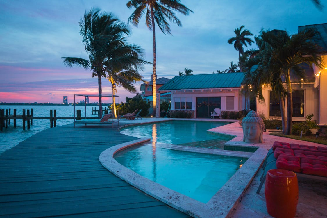 a swimming pool near the palm trees