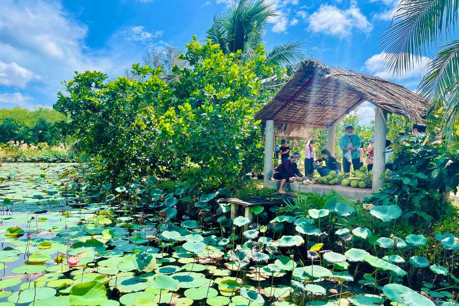 Cool green space with fresh air, friendly and hospitable people attract tourists when coming to Ben Tre. Source: Dieu Mi