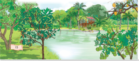BÀI 8: CÂY TRÁI TRONG VƯỜN BÁC