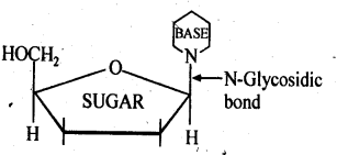 NCERT Solutions For Class 12 Chemistry Chapter 14 Biomolecules Exercises Q21