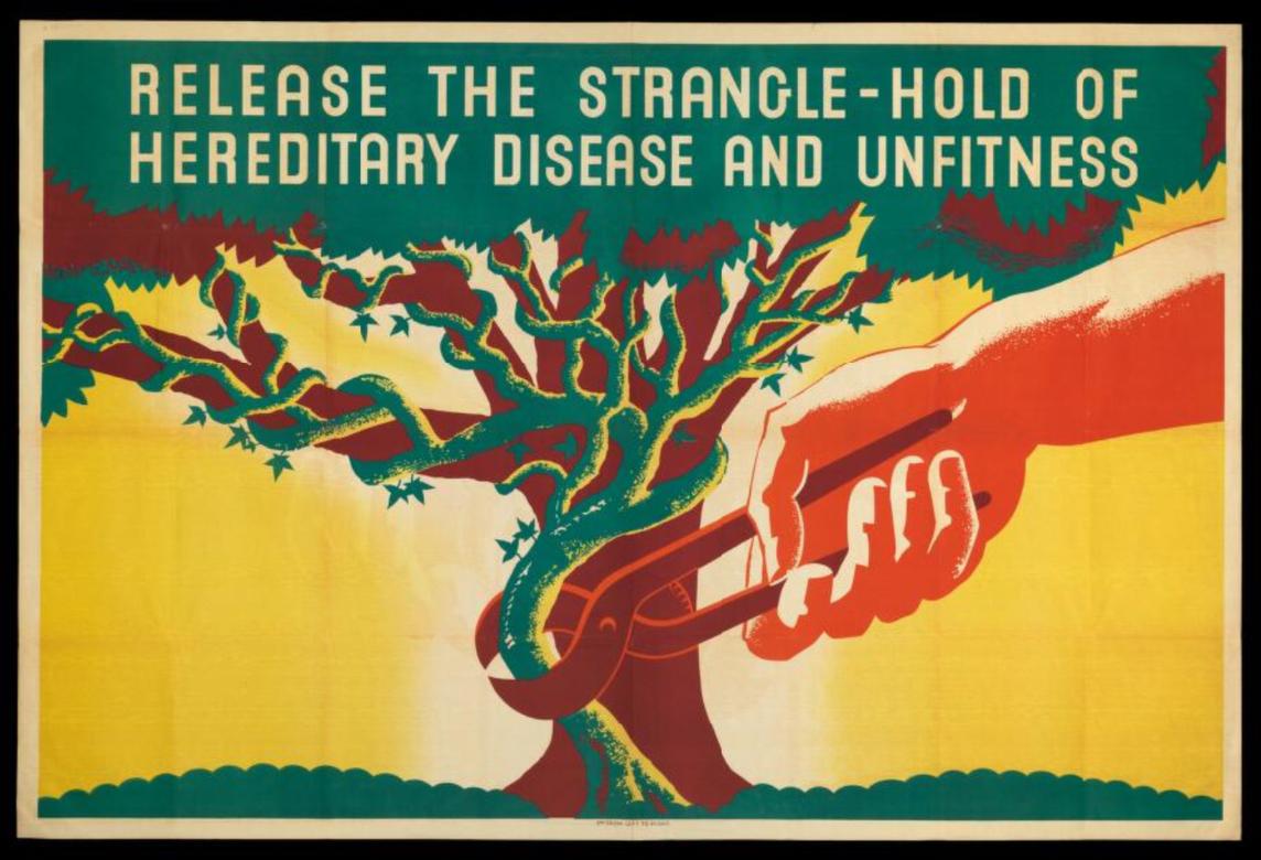 A Eugenics Society poster (1930s) from the Wellcome Library Eugenics Society Archive.