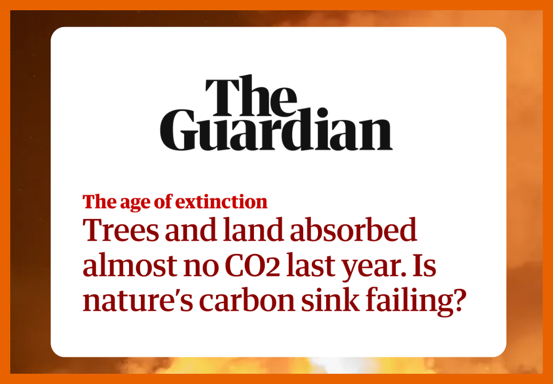 the Guardian: Trees and land absorbed almost no CO2 last year. Is nature’s carbon sink failing?