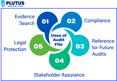 what is audit file
