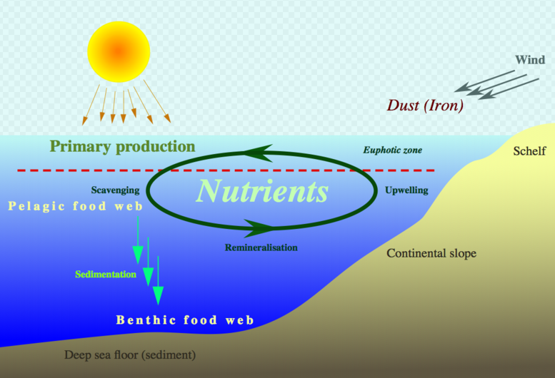 A diagram of nutrients and their components

Description automatically generated with medium confidence