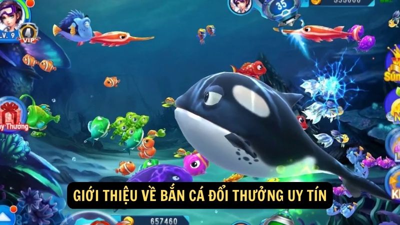 Giới thiệu về bắn cá đổi thưởng uy tín