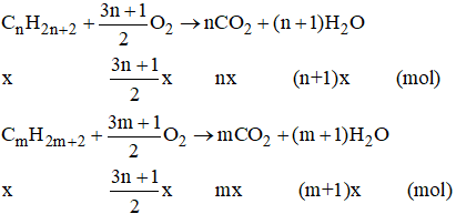 BÀI 21: ALKANE
