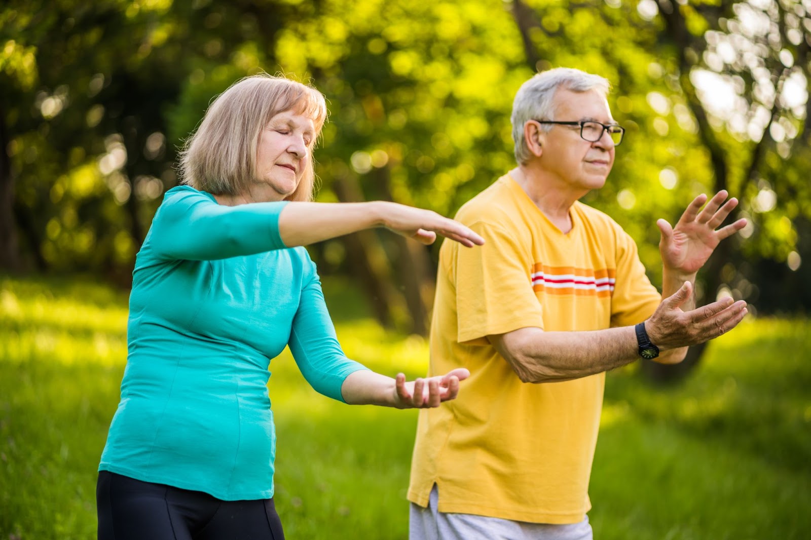 Casal sênior Praticando Tai Chi outdoor