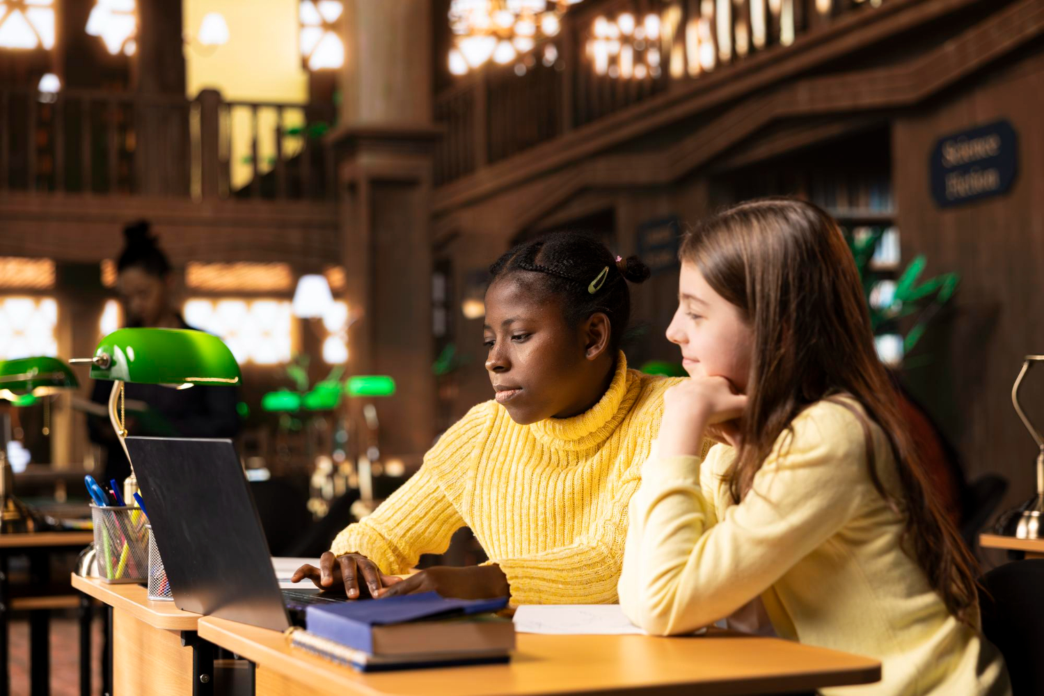 ib digital society ee guide