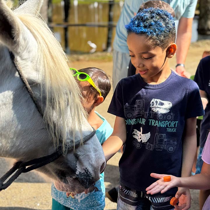 Crianças interagindo com um cavalo branco, explorando a natureza e aprendendo sobre animais, em um ambiente ao ar livre.