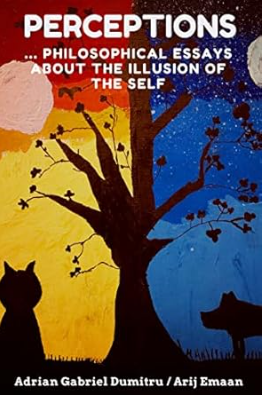 New Book Perceptions Explores the Illusion of Identity Through Philosophical Reflection