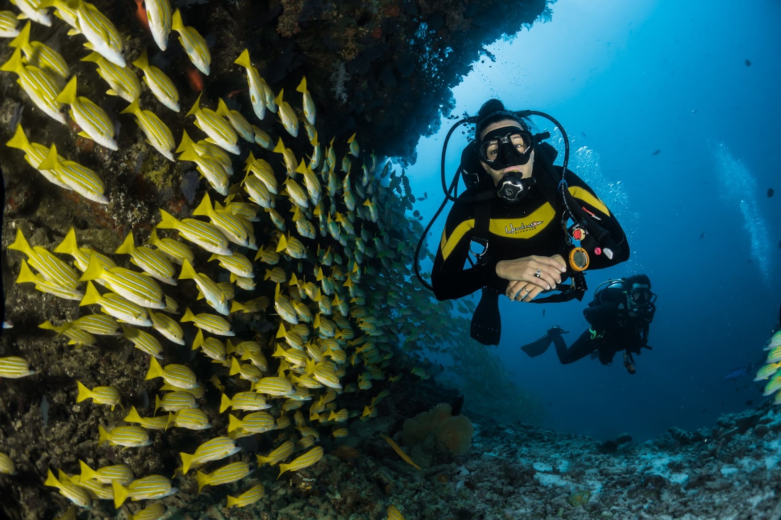 Scuba dive in the crystal-clear Mediterranean Sea