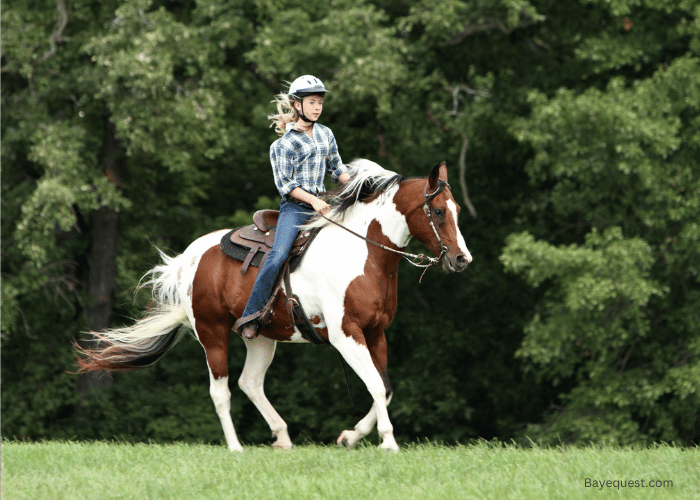 Female Mythical Horse Names