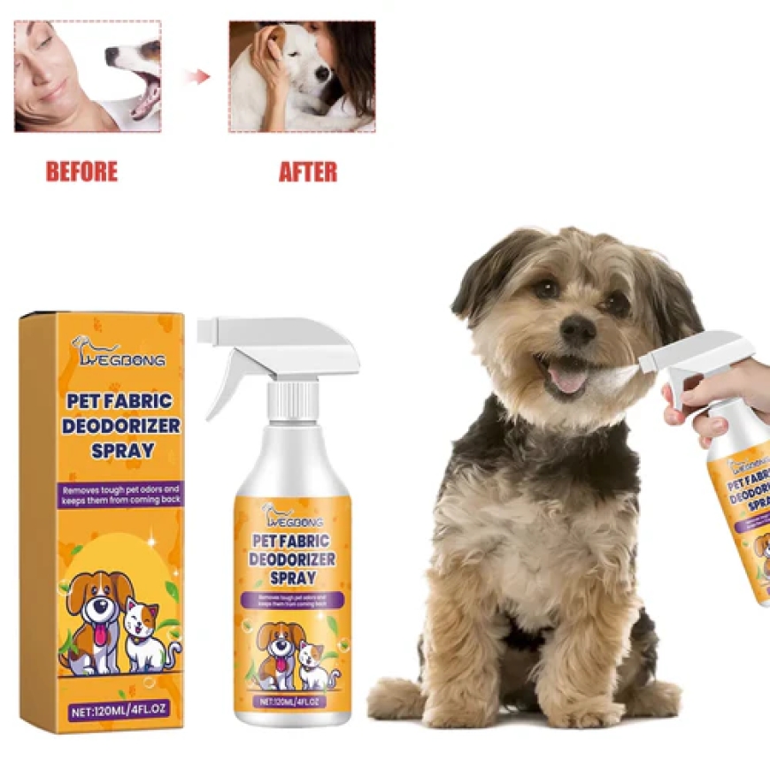 Vet Poison Control: How to Keep Your Pet Safe from Common Household Hazards