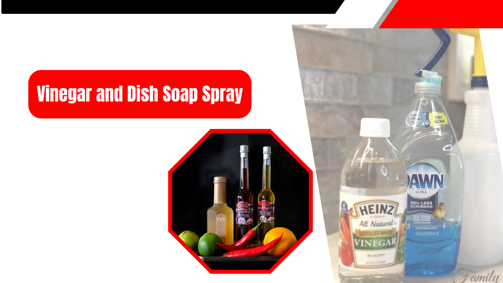 Vinegar and Dish Soap Spray