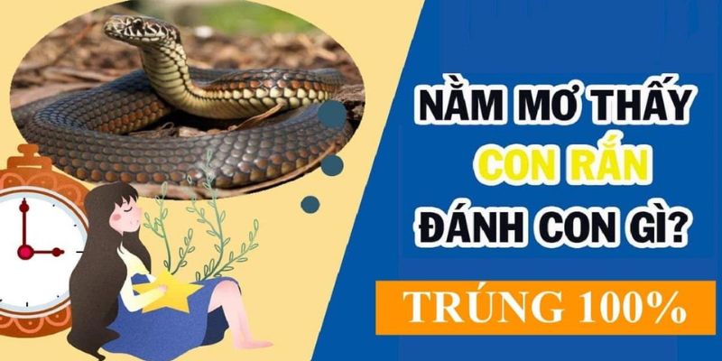 Nằm mơ thấy bị rắn cắn