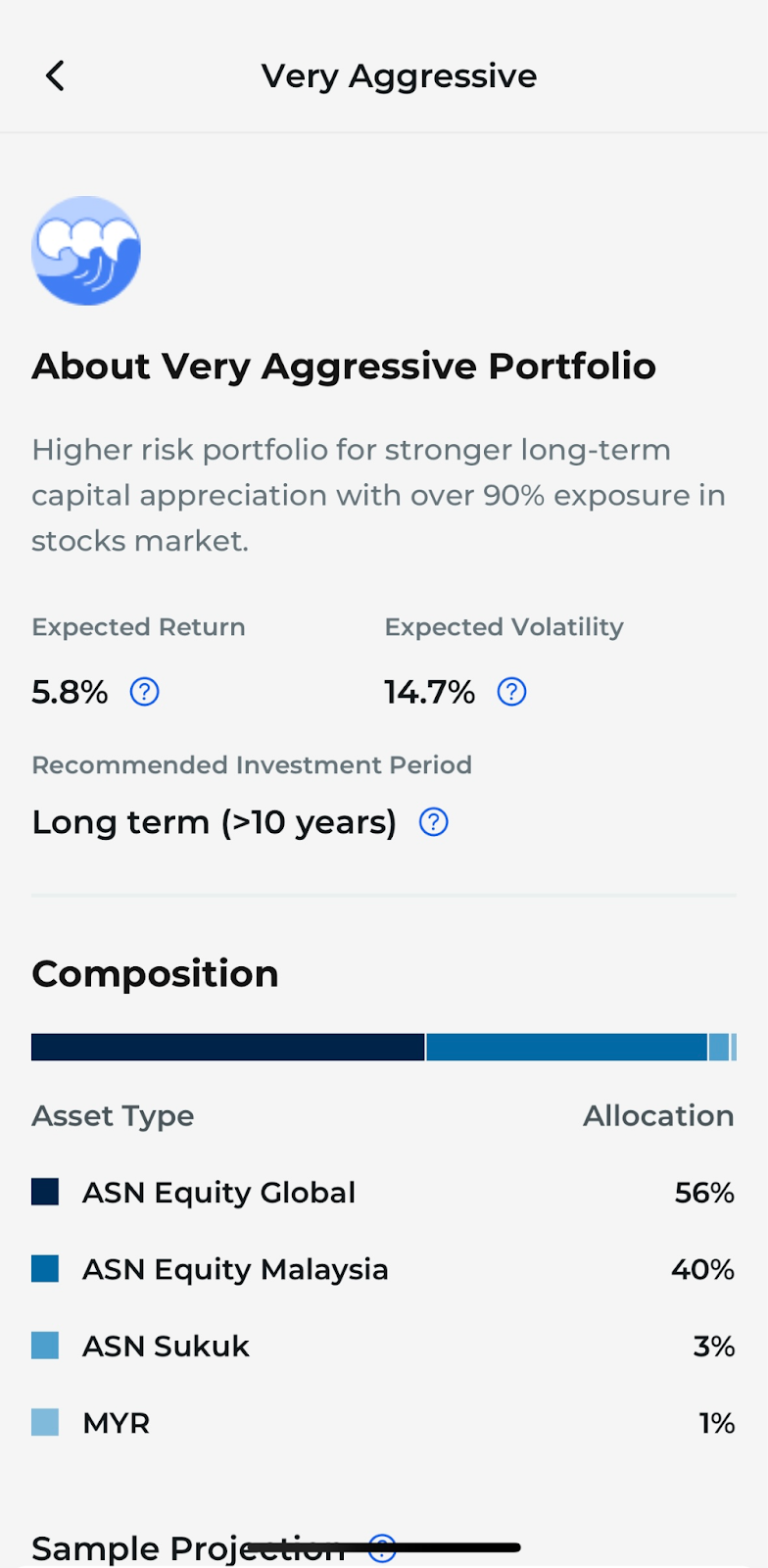 very aggressive portfolio