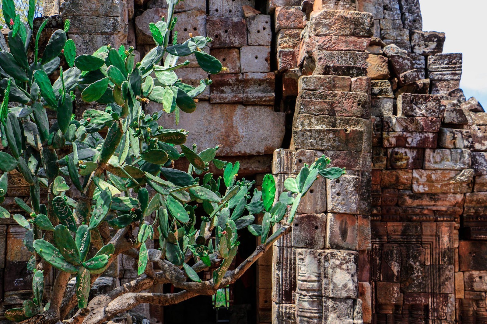 Mayan Ruins of Central America
