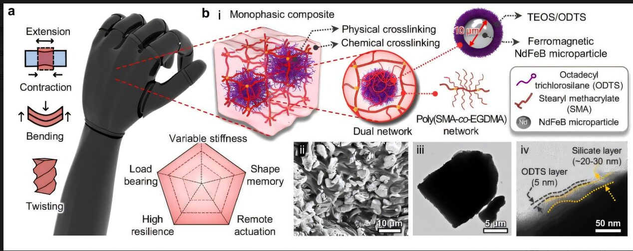 A diagram of a cell

Description automatically generated