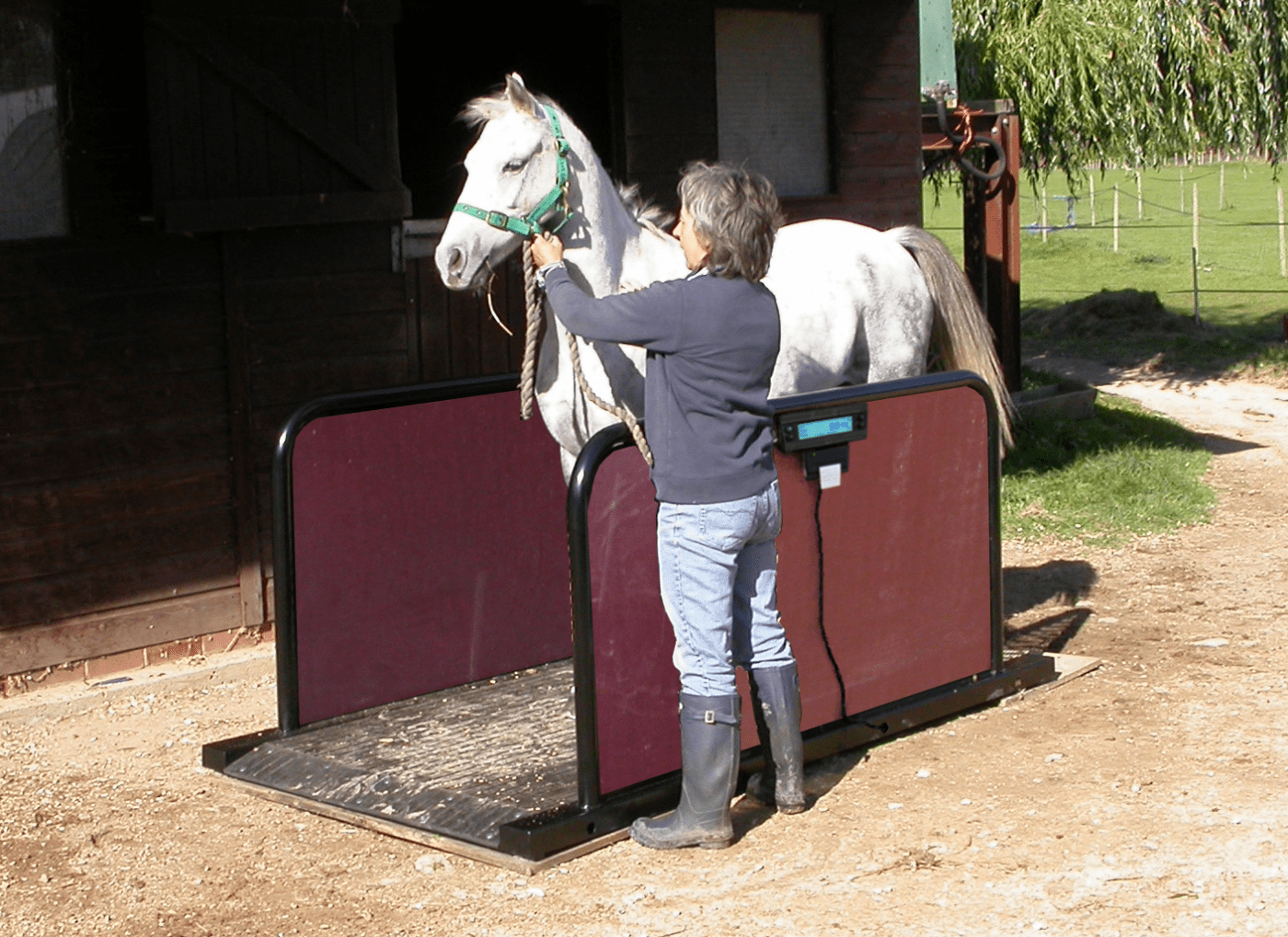 Livestock Weighing Scale