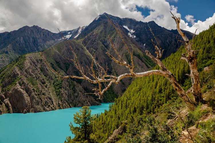 Shey Phoksundo National Park