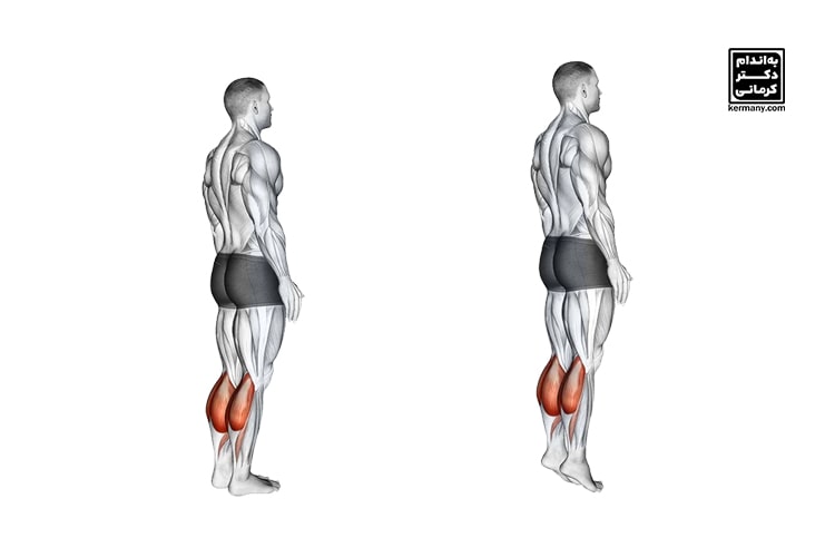 تقویت ساق پا - 4 - تقویت ساق پا - ورزش و سلامتی