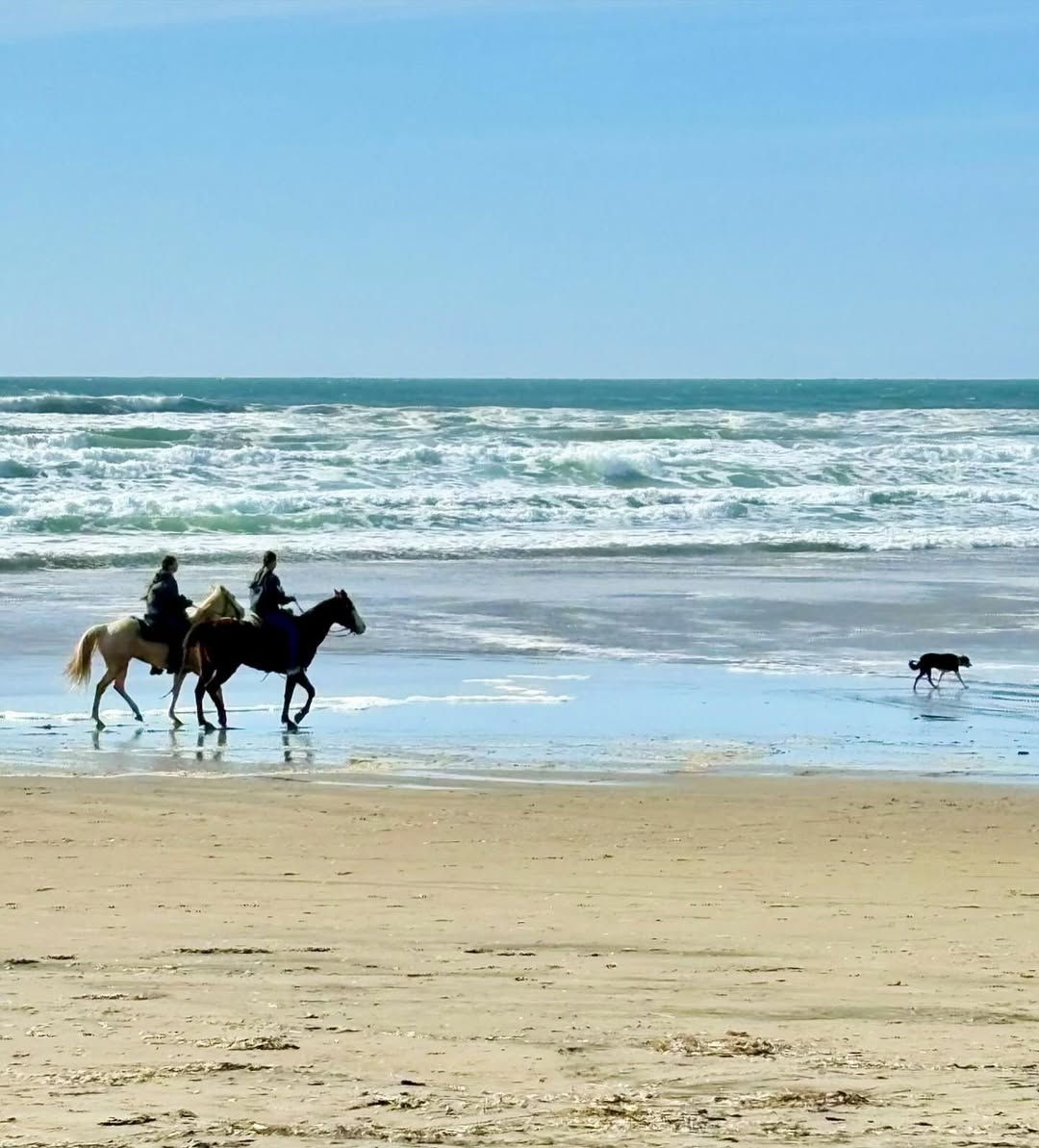 Horseback Riding on the Beach