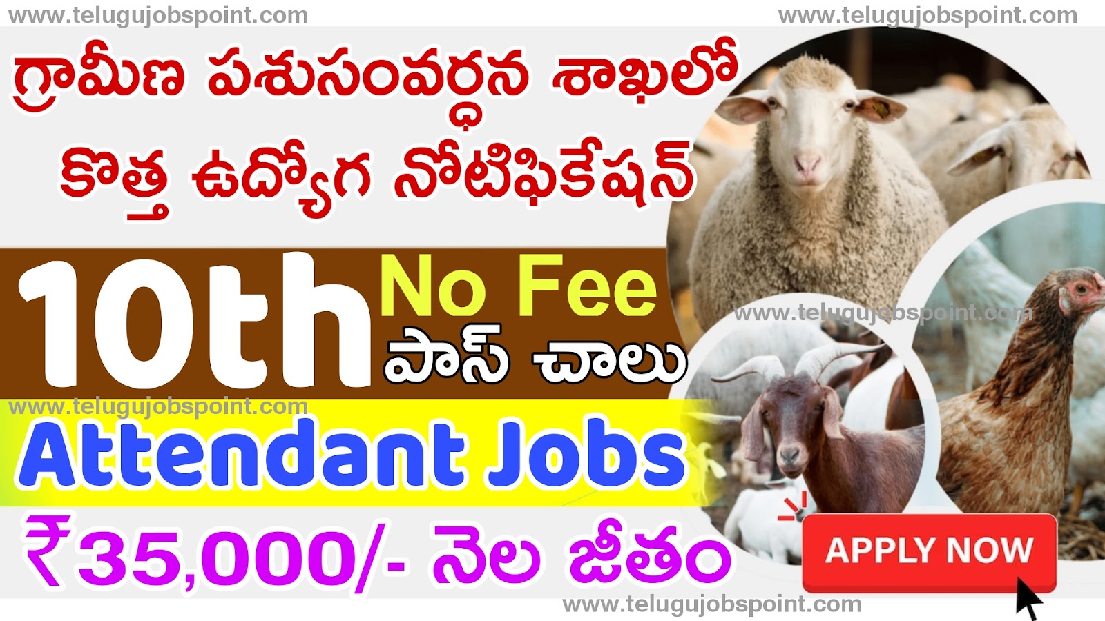 Latest DAHD Animal Husbandry Attendant Recruitment 2024 Apply Online | Telugu Jobs Point 