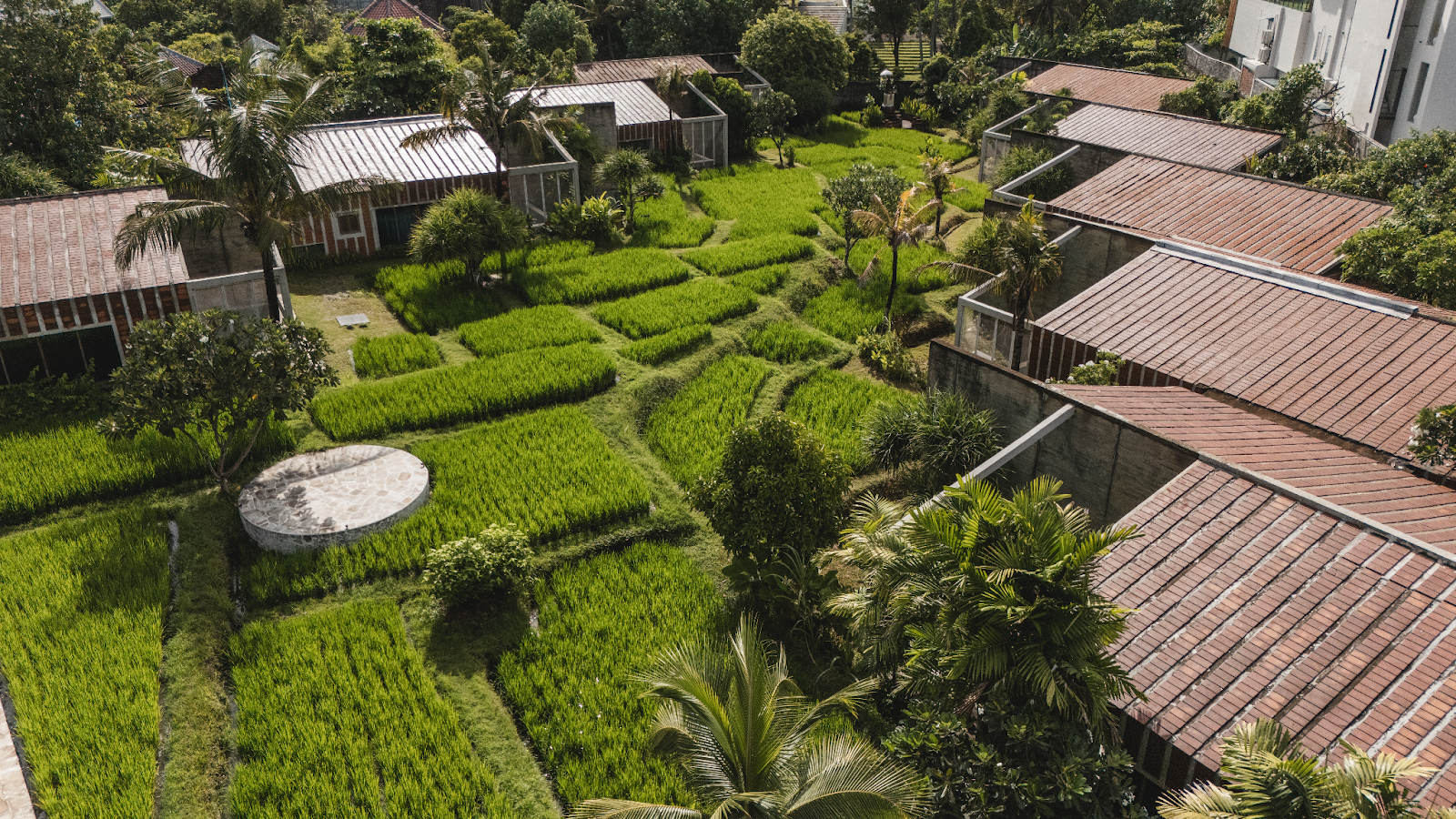 Shore Amora: Canggu’s Hidden Oasis for the Modern Traveler