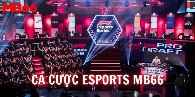 Cá cược Esports tại MB66 - Cơ hội kiếm tiền cực lớn