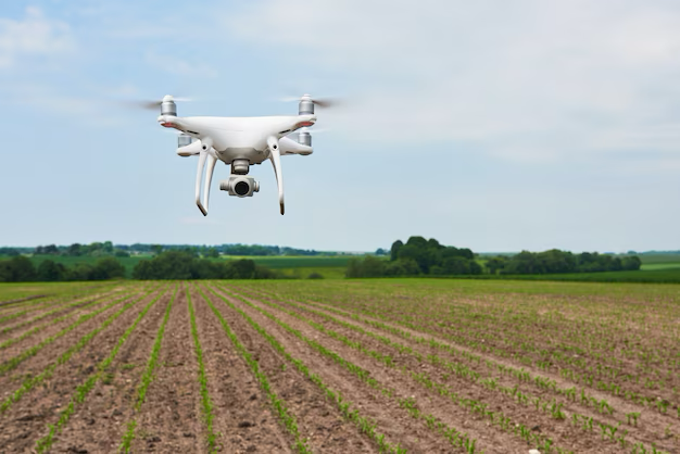 Drone quad copter with high resolution digital camera on green corn field, agro