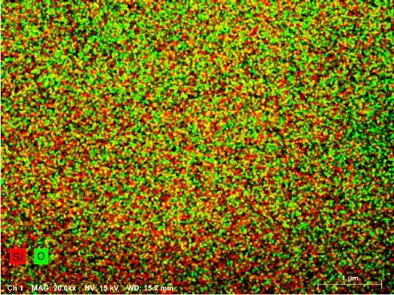 A close-up of a green and red speckled background

AI-generated content may be incorrect.