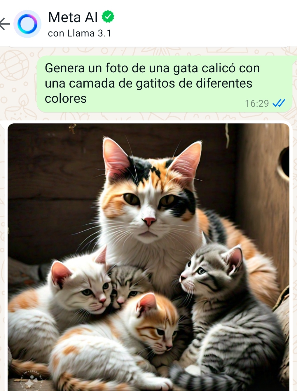 Chat con la nueva IA de whatsapp META AI. El usuario le pide a la IA una foto de una camada de gatitos y la ia proporciona una foto realista del prompt solicitado.