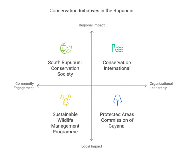 conservation initiatives in the rupununi infographics