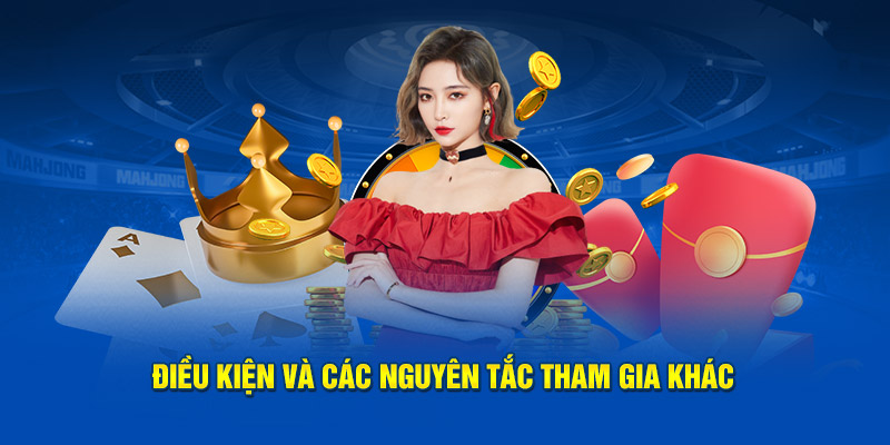 Điều kiện và các nguyên tắc tham gia khác