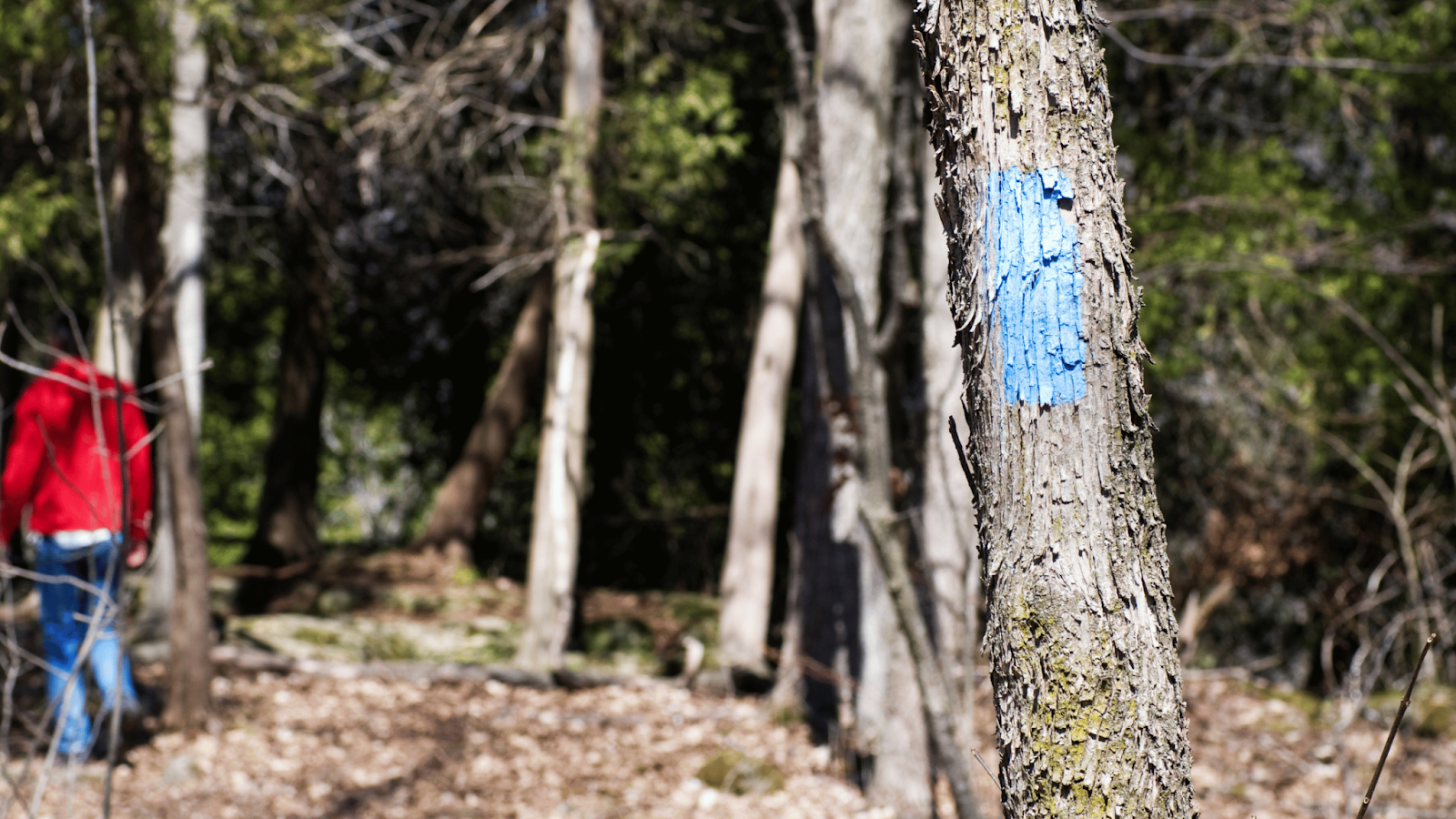 Trail Navigation Tips